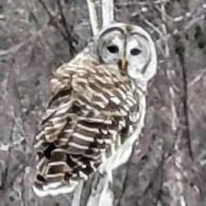 Meet your Posher, Cathy